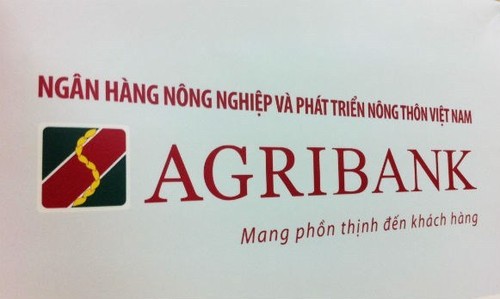 Tay Ninh farmers make a fortune thanks to loans based on the production link group model - ảnh 1